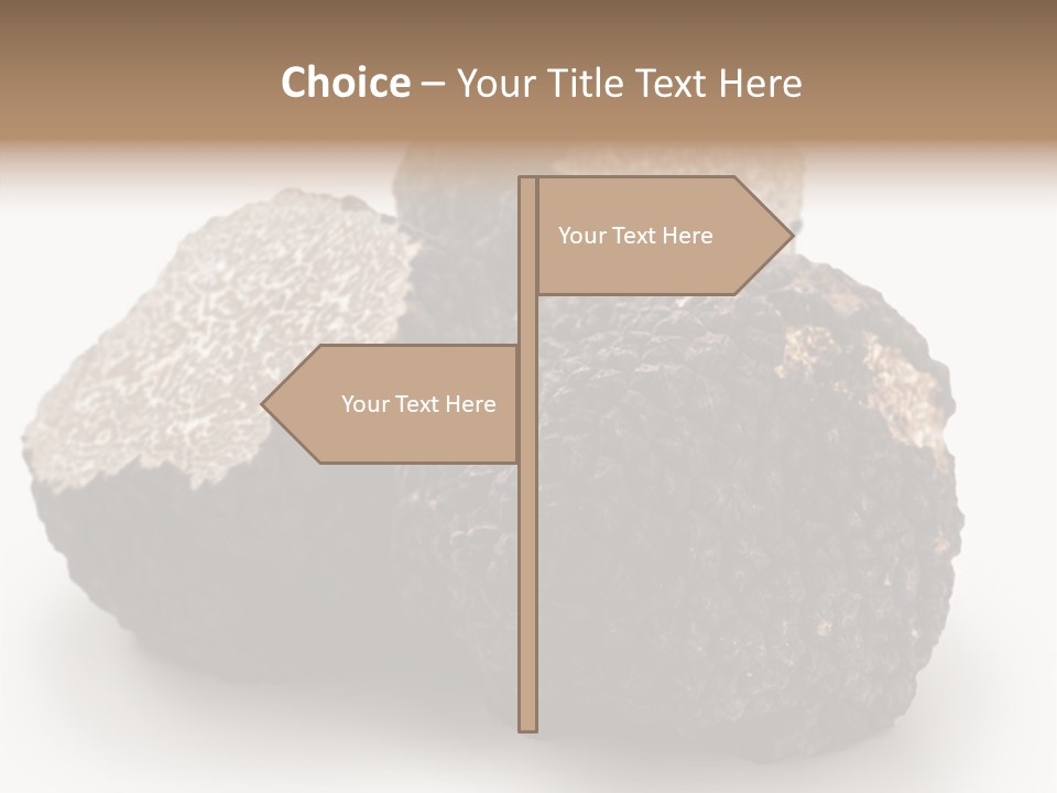 Fungus Edible Isolated PowerPoint Template