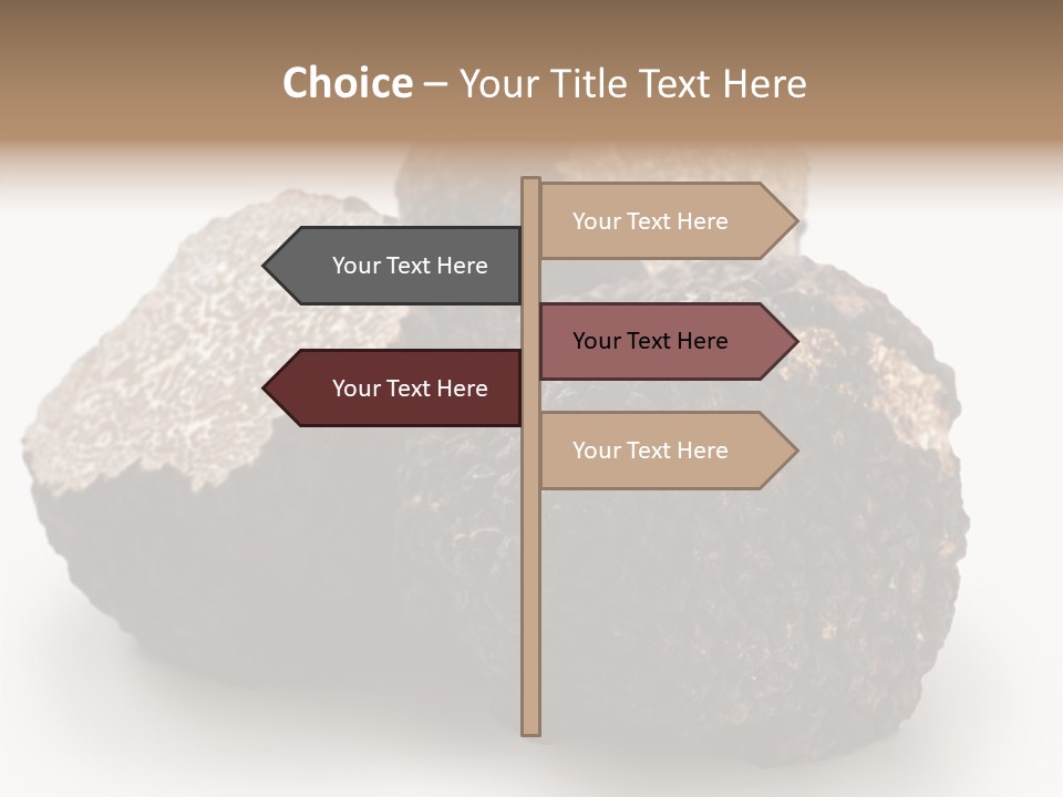 Fungus Edible Isolated PowerPoint Template