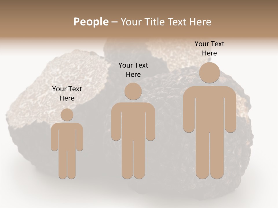 Fungus Edible Isolated PowerPoint Template