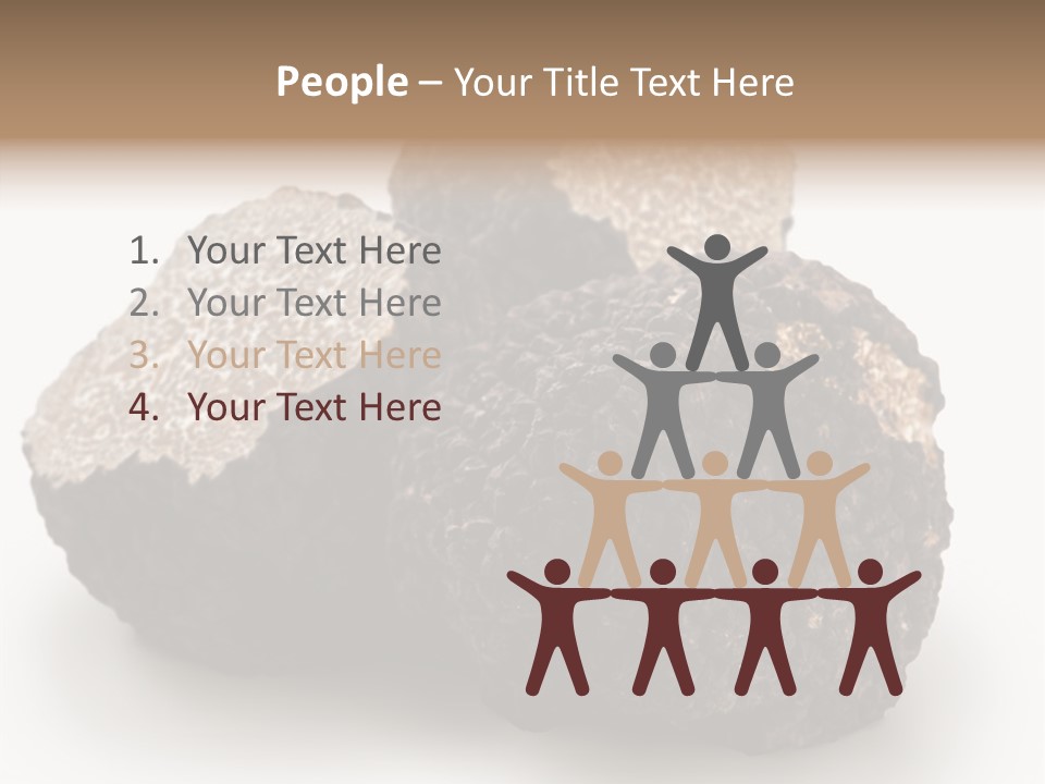 Fungus Edible Isolated PowerPoint Template