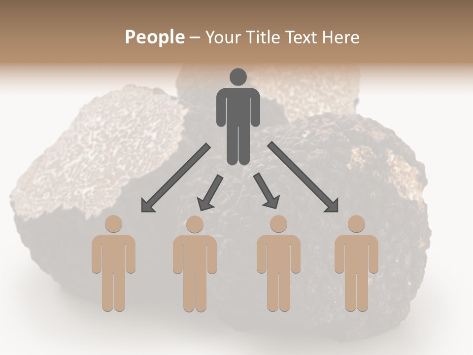 Fungus Edible Isolated PowerPoint Template