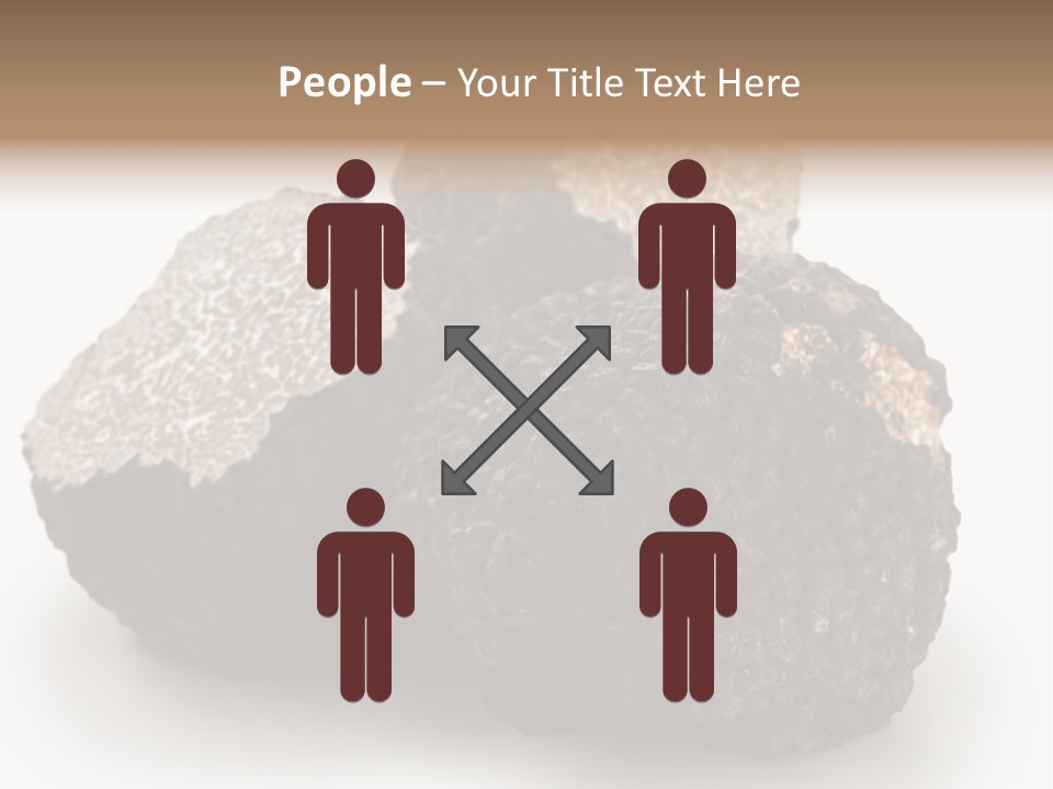 Fungus Edible Isolated PowerPoint Template