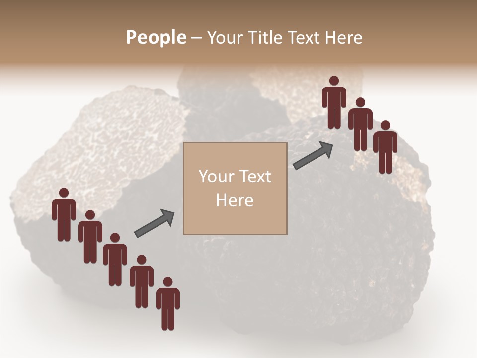 Fungus Edible Isolated PowerPoint Template