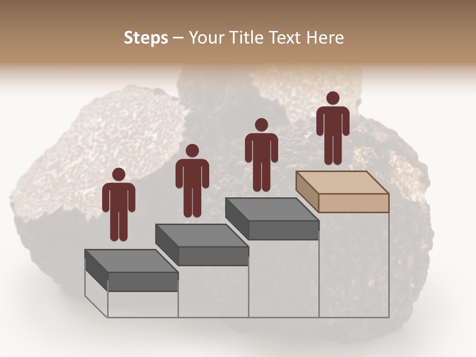 Fungus Edible Isolated PowerPoint Template