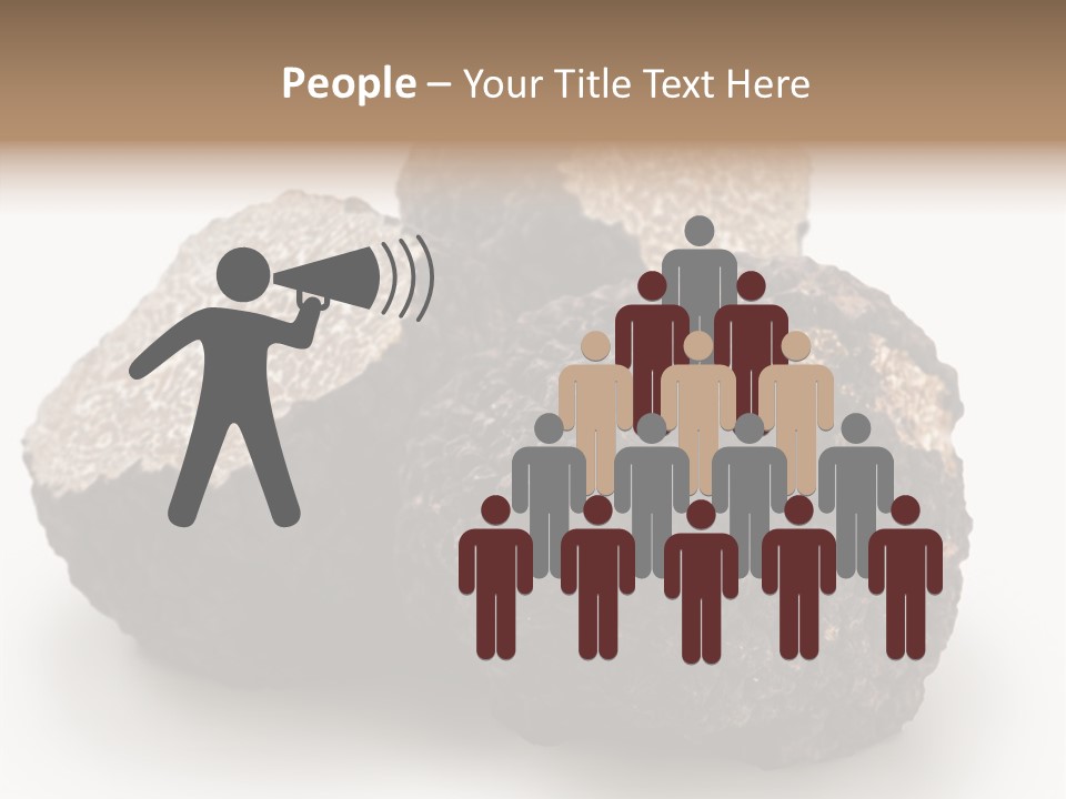 Fungus Edible Isolated PowerPoint Template