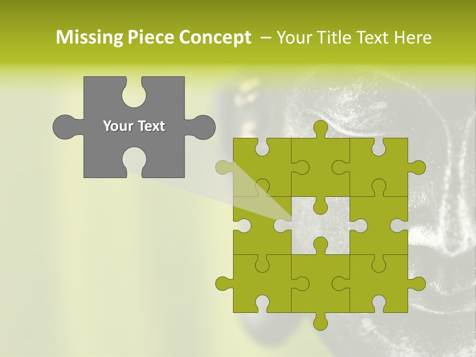 Lotus Thailand Asia PowerPoint Template