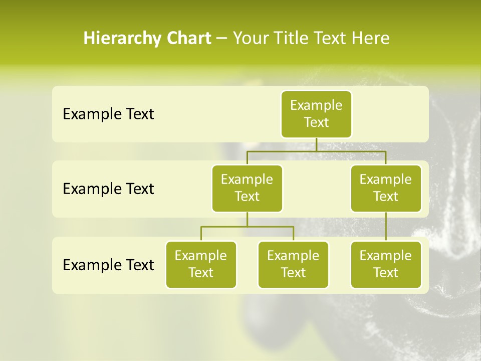 Lotus Thailand Asia PowerPoint Template
