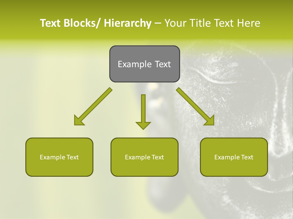 Lotus Thailand Asia PowerPoint Template