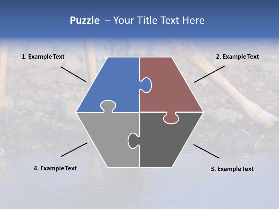 Two Giraffes Drinking Water From A Body Of Water PowerPoint Template