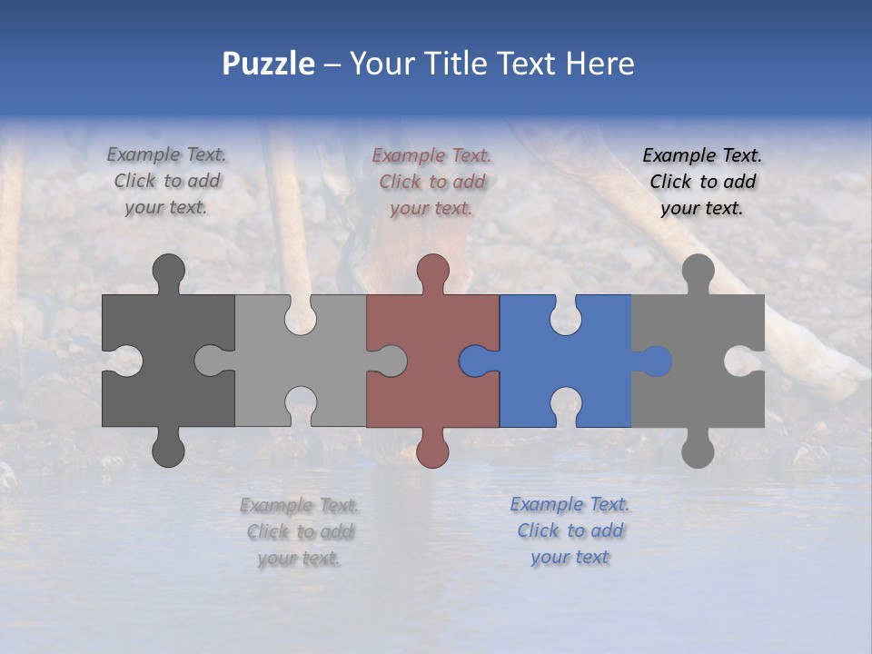 Two Giraffes Drinking Water From A Body Of Water PowerPoint Template