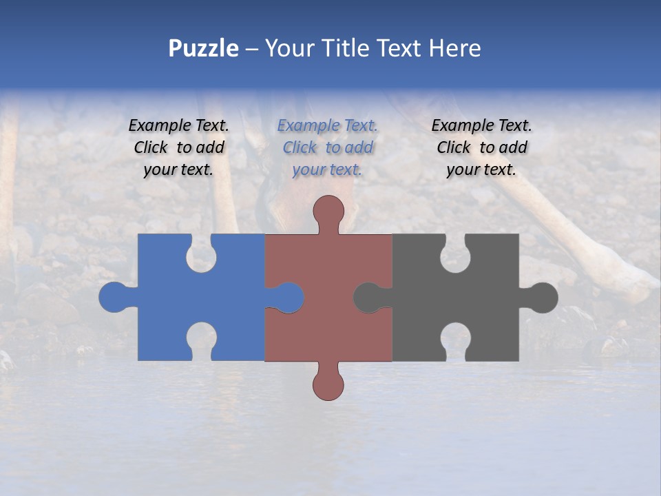 Two Giraffes Drinking Water From A Body Of Water PowerPoint Template