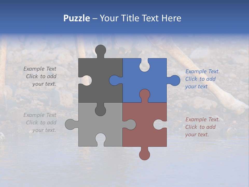 Two Giraffes Drinking Water From A Body Of Water PowerPoint Template