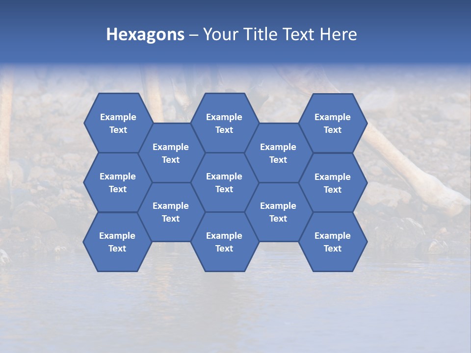 Two Giraffes Drinking Water From A Body Of Water PowerPoint Template