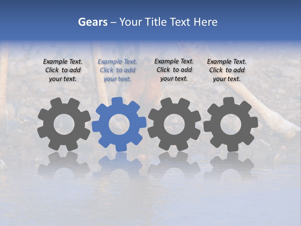 Two Giraffes Drinking Water From A Body Of Water PowerPoint Template