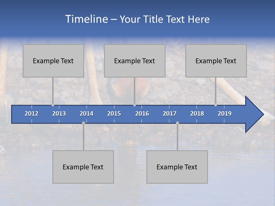 Two Giraffes Drinking Water From A Body Of Water PowerPoint Template