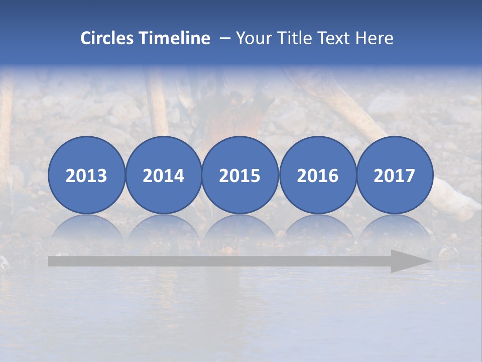 Two Giraffes Drinking Water From A Body Of Water PowerPoint Template