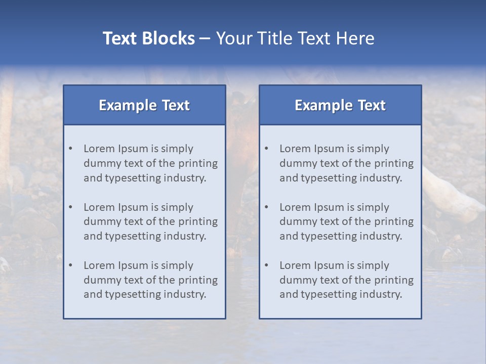 Two Giraffes Drinking Water From A Body Of Water PowerPoint Template
