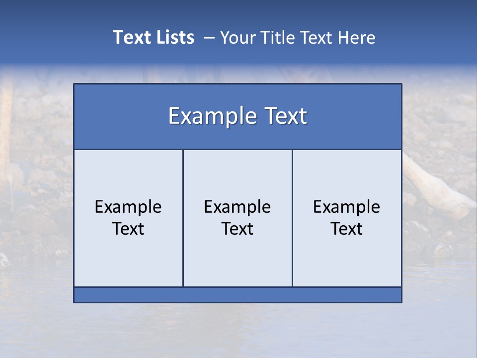 Two Giraffes Drinking Water From A Body Of Water PowerPoint Template