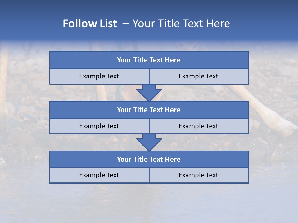Two Giraffes Drinking Water From A Body Of Water PowerPoint Template