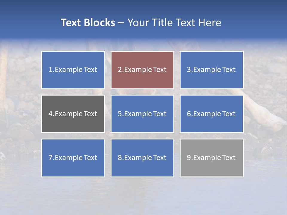 Two Giraffes Drinking Water From A Body Of Water PowerPoint Template