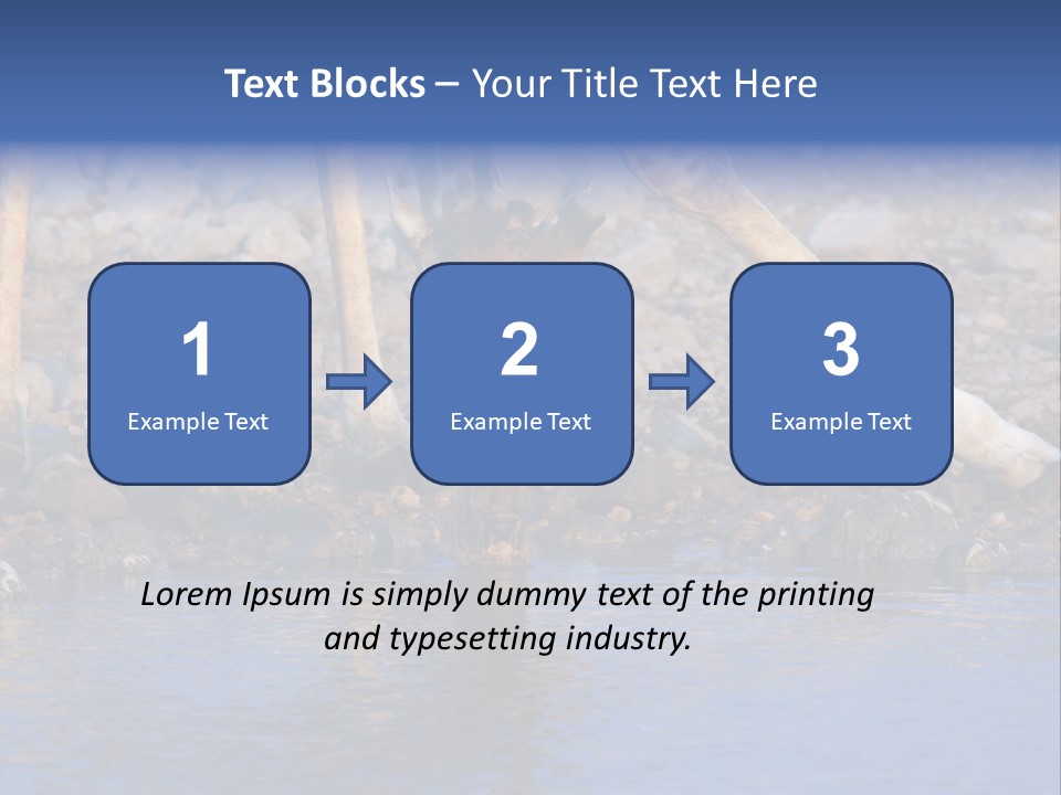 Two Giraffes Drinking Water From A Body Of Water PowerPoint Template