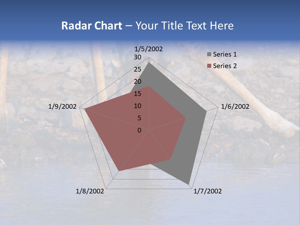 Two Giraffes Drinking Water From A Body Of Water PowerPoint Template