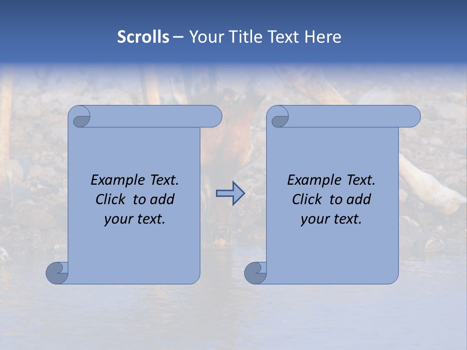 Two Giraffes Drinking Water From A Body Of Water PowerPoint Template