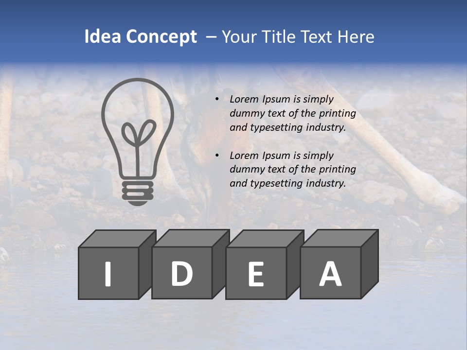 Two Giraffes Drinking Water From A Body Of Water PowerPoint Template