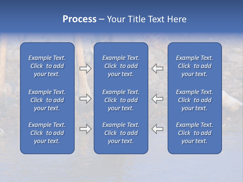 Two Giraffes Drinking Water From A Body Of Water PowerPoint Template