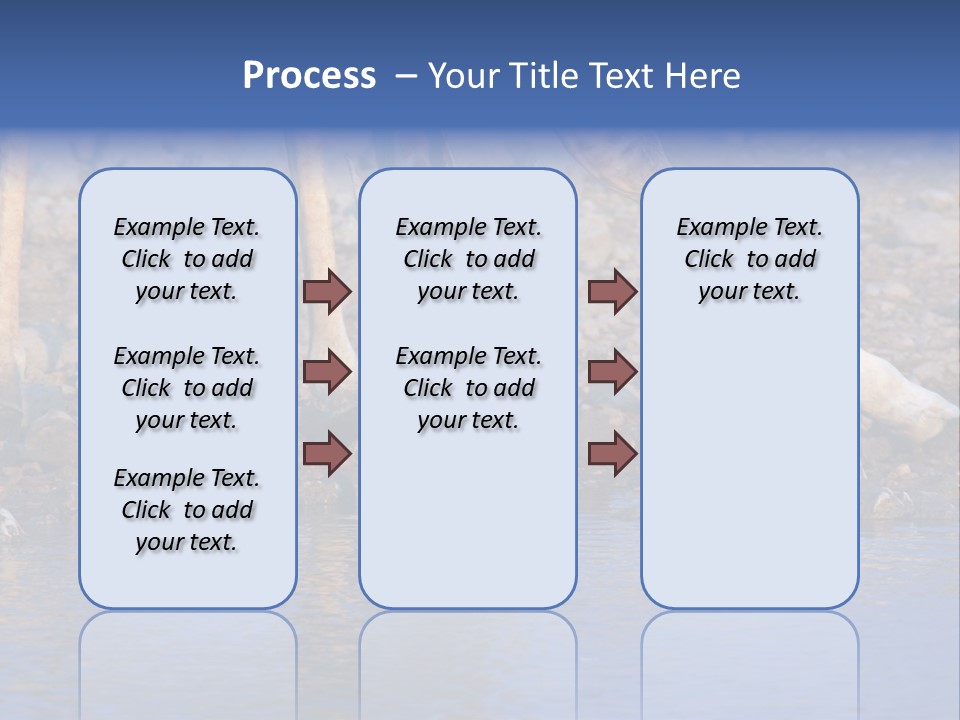 Two Giraffes Drinking Water From A Body Of Water PowerPoint Template