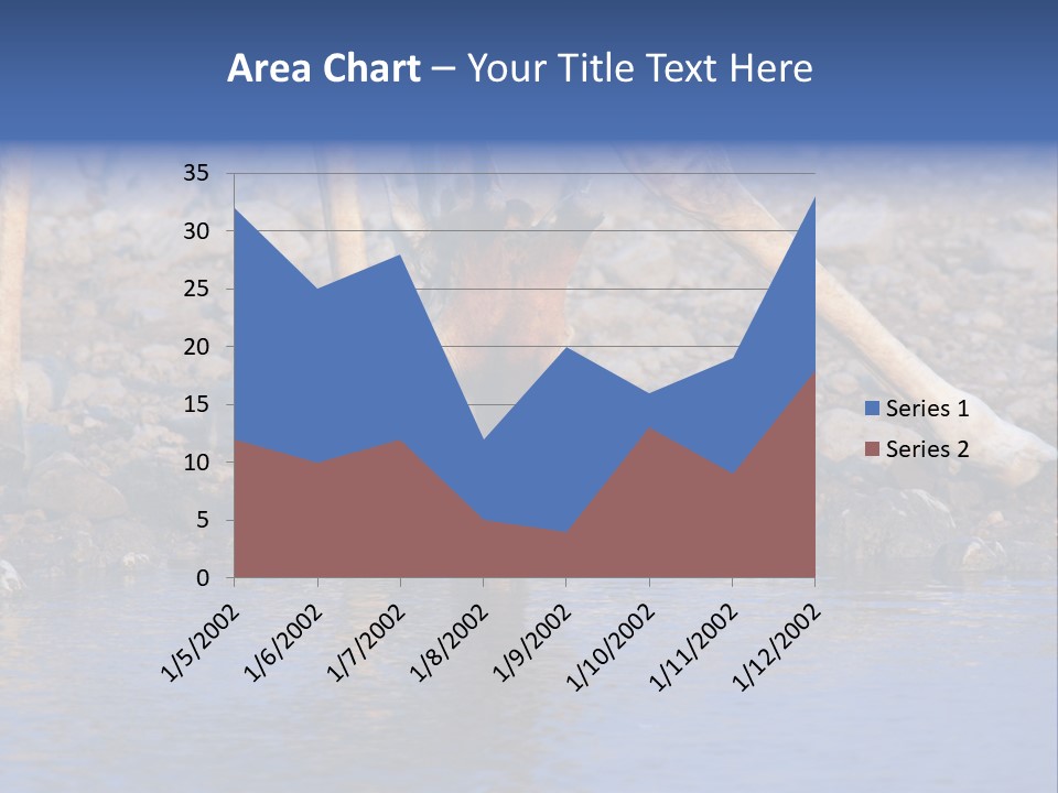 Two Giraffes Drinking Water From A Body Of Water PowerPoint Template