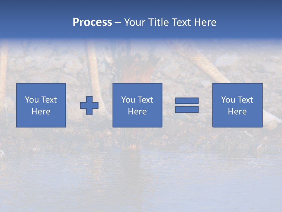 Two Giraffes Drinking Water From A Body Of Water PowerPoint Template