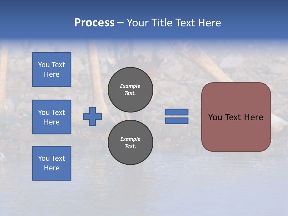 Two Giraffes Drinking Water From A Body Of Water PowerPoint Template