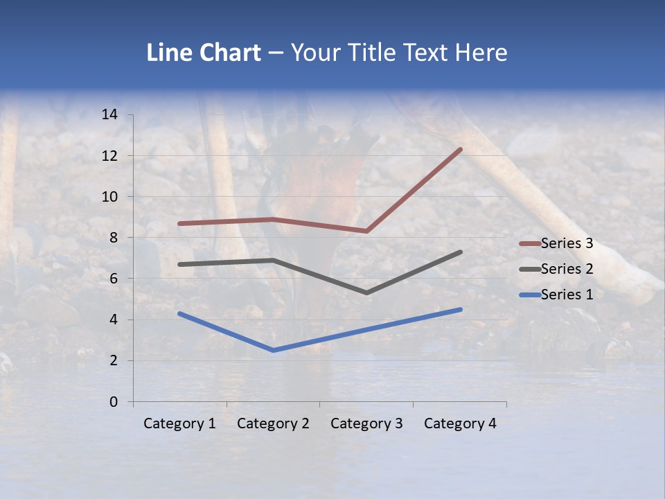 Two Giraffes Drinking Water From A Body Of Water PowerPoint Template