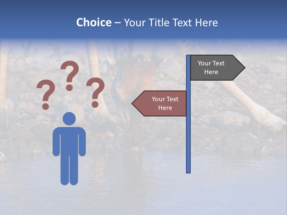 Two Giraffes Drinking Water From A Body Of Water PowerPoint Template