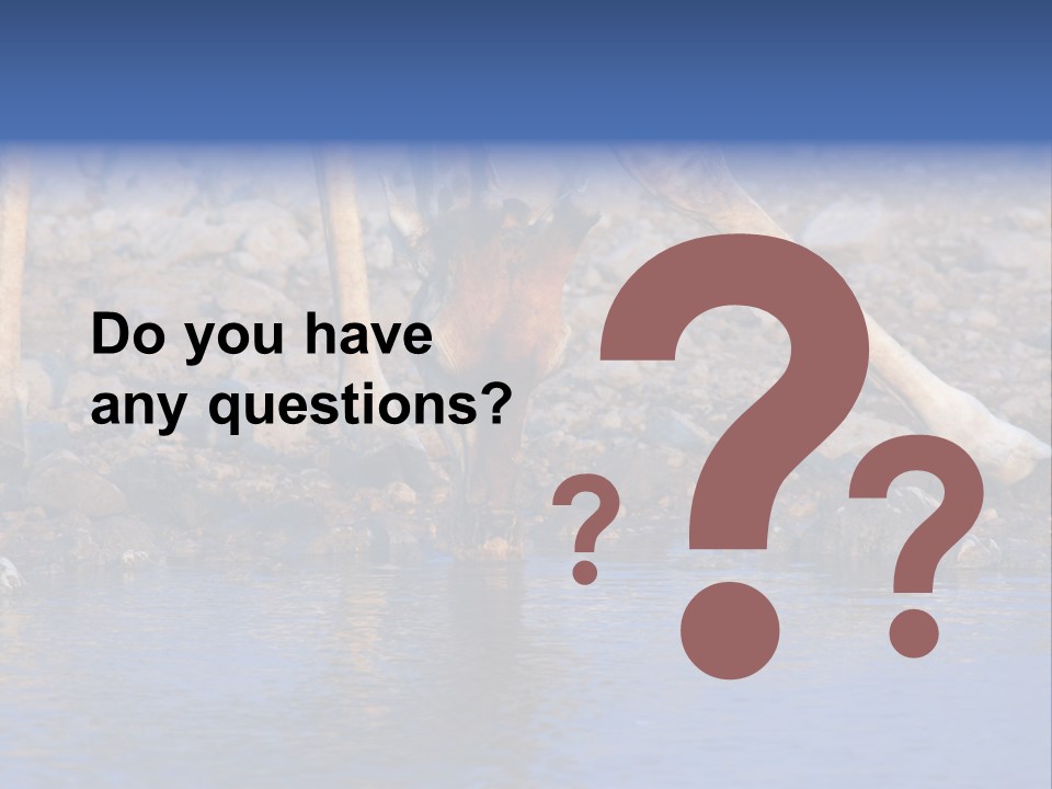 Two Giraffes Drinking Water From A Body Of Water PowerPoint Template