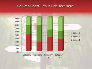 Copyspace Street Information PowerPoint Template