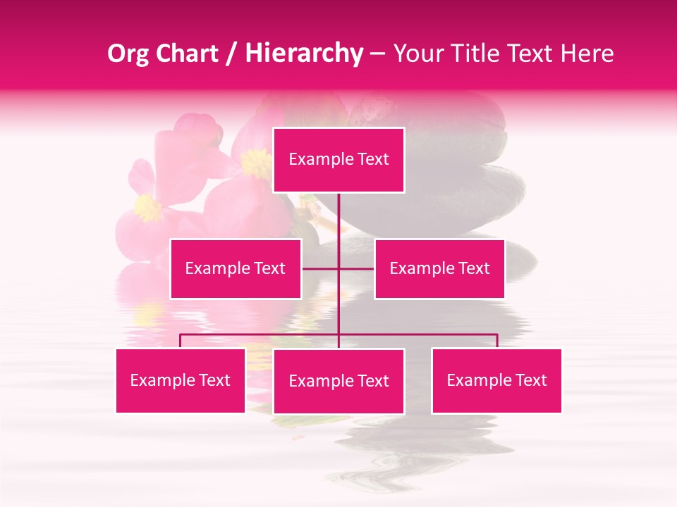 Blooming Closeup Medicine PowerPoint Template