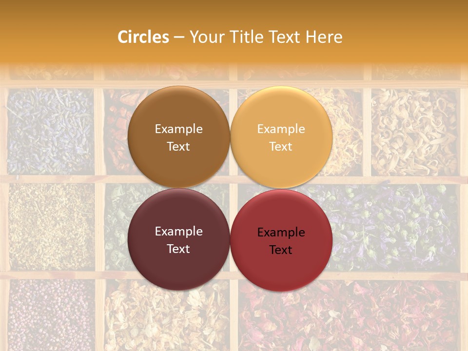 Aromatherapy Tea Rose PowerPoint Template