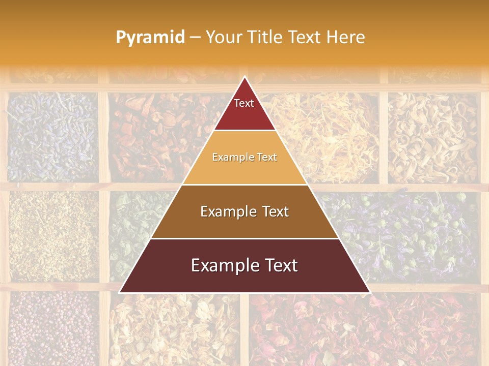 Aromatherapy Tea Rose PowerPoint Template