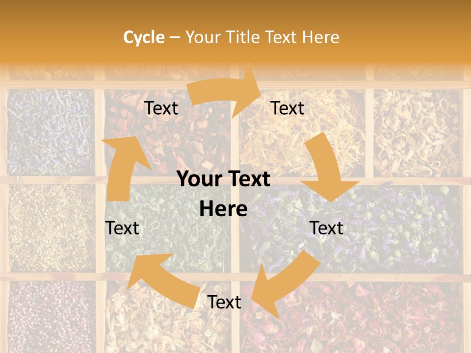 Aromatherapy Tea Rose PowerPoint Template