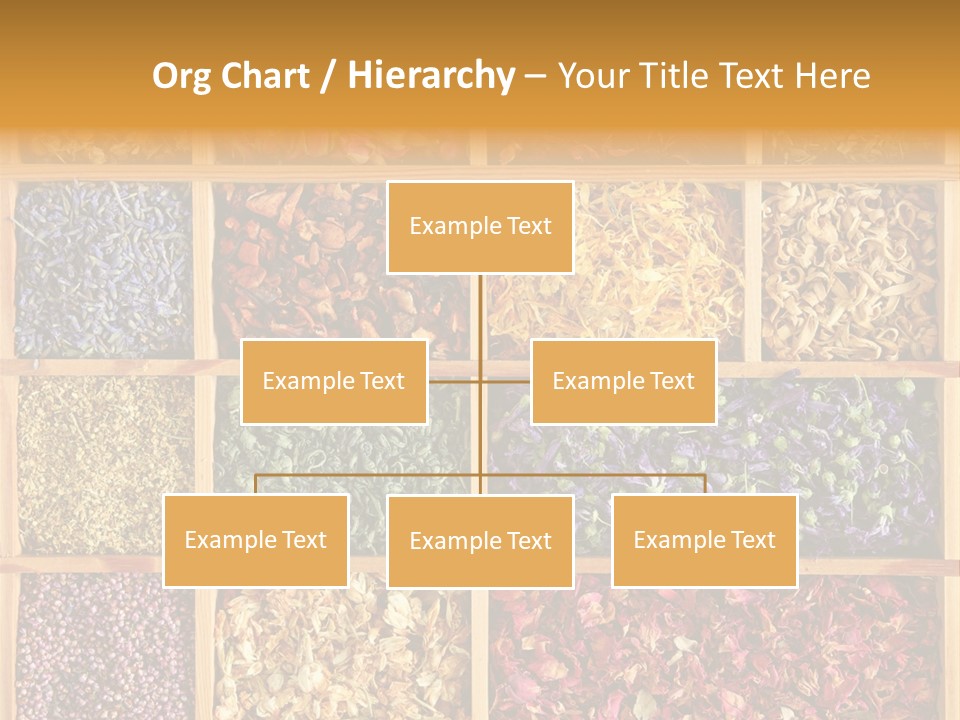 Aromatherapy Tea Rose PowerPoint Template