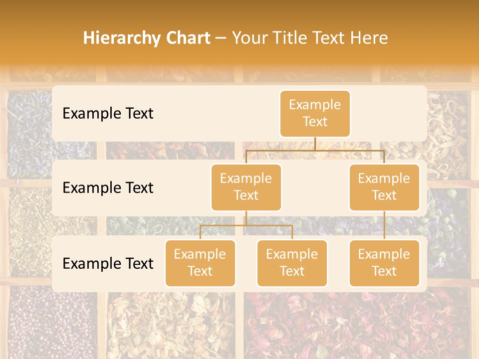 Aromatherapy Tea Rose PowerPoint Template