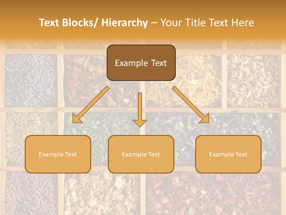 Aromatherapy Tea Rose PowerPoint Template