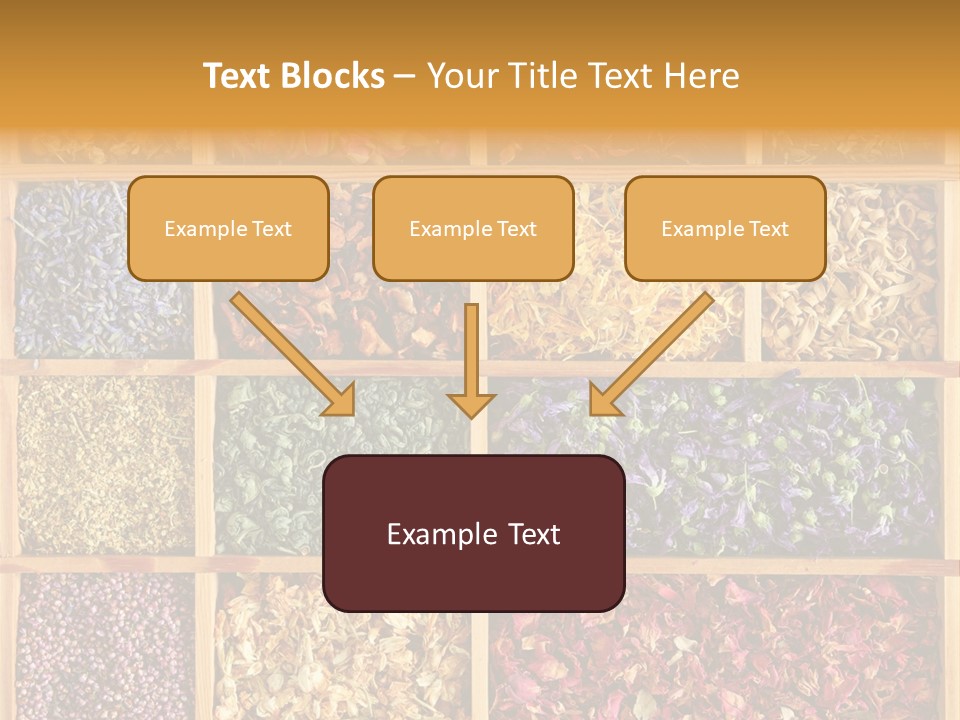 Aromatherapy Tea Rose PowerPoint Template