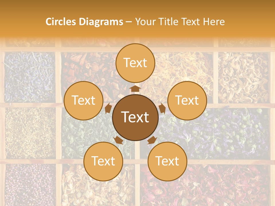 Aromatherapy Tea Rose PowerPoint Template