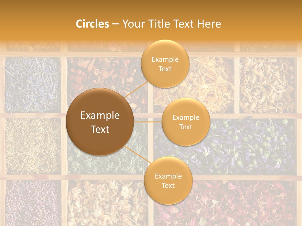 Aromatherapy Tea Rose PowerPoint Template