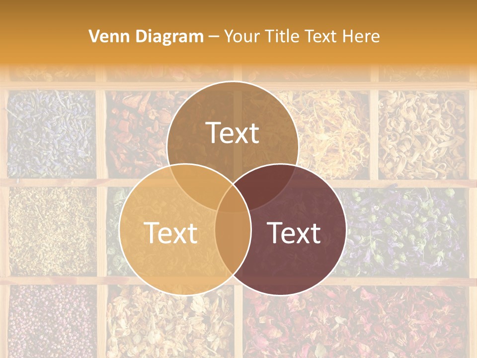 Aromatherapy Tea Rose PowerPoint Template