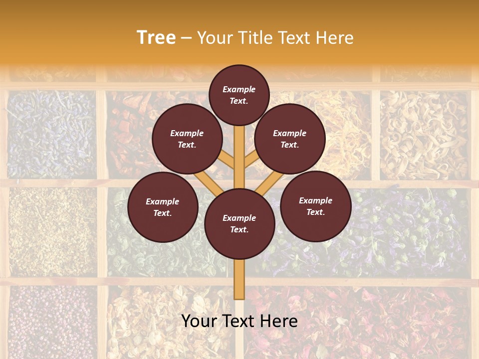 Aromatherapy Tea Rose PowerPoint Template