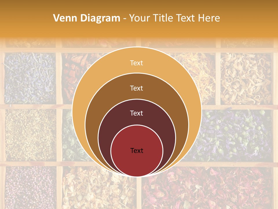 Aromatherapy Tea Rose PowerPoint Template